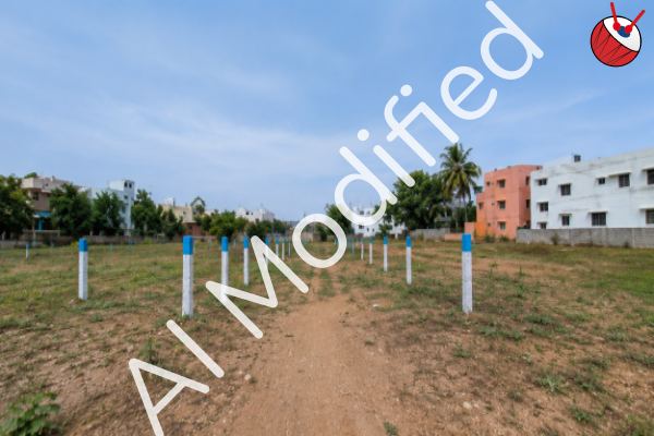 Residential Vacant Land in Thirumangalam